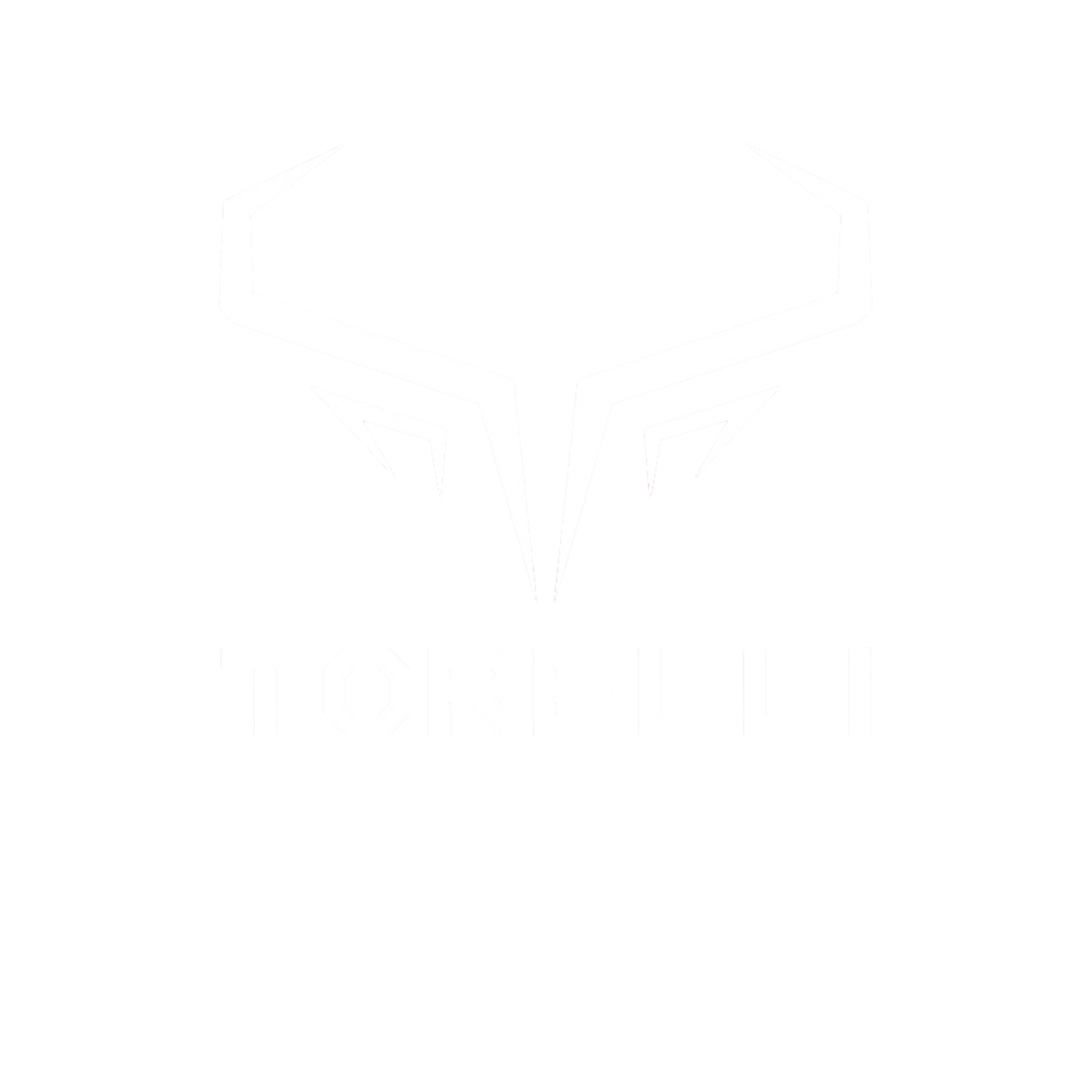 Logo Torelli